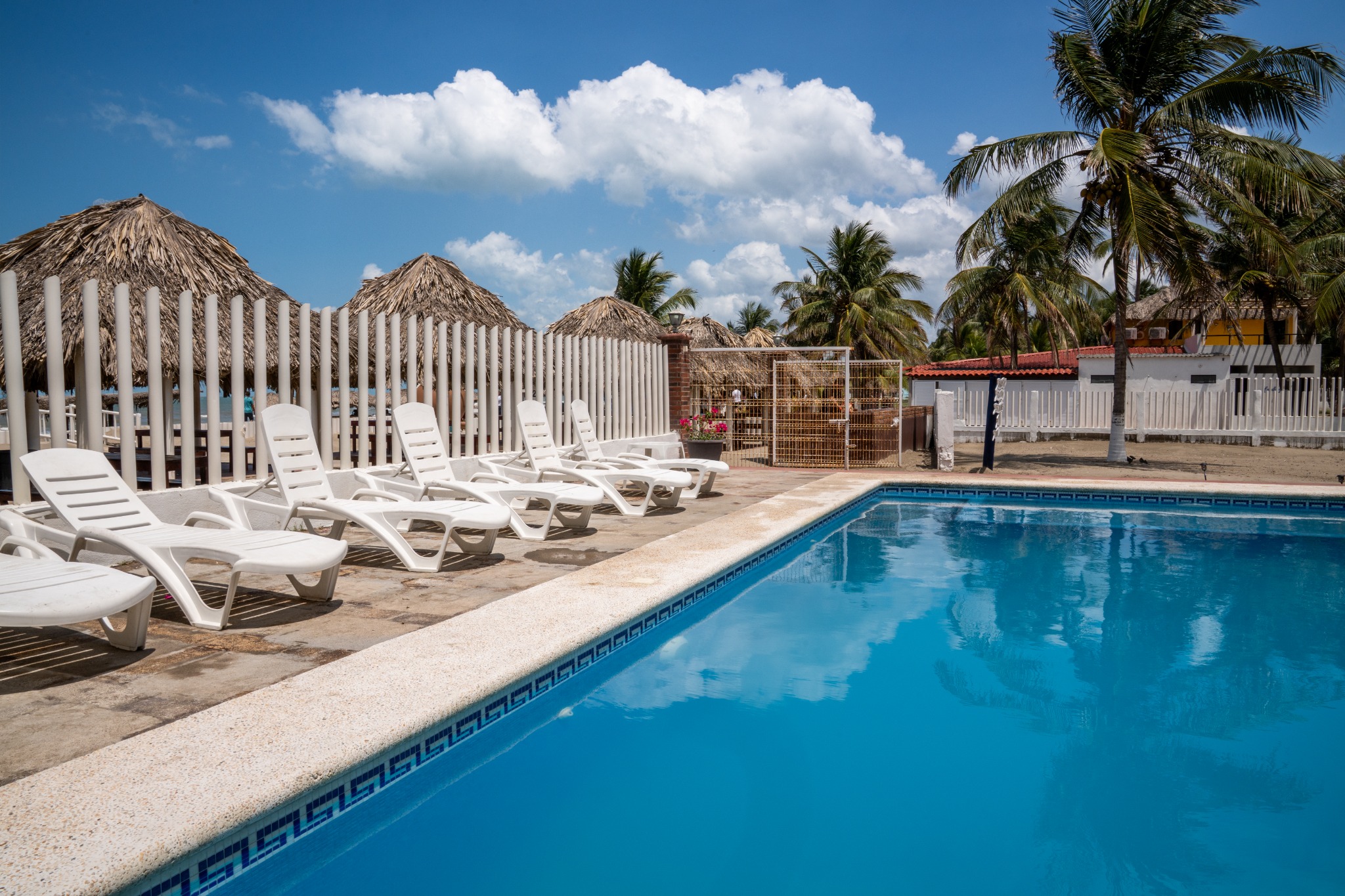 Alberca de Coco Beach con camastros y palapas